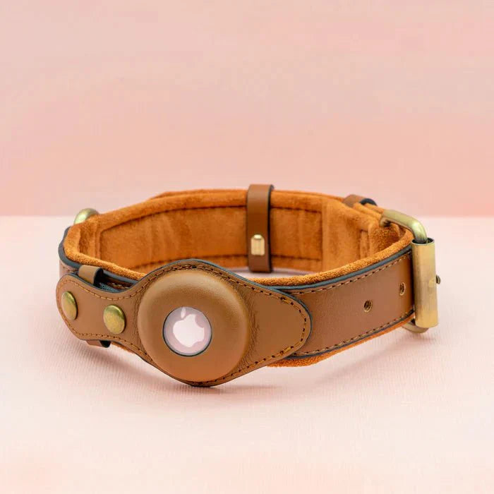 TrailGuard Premium AirTag Hundhalsband Håller Apple AirTag För Hitta Min Plats