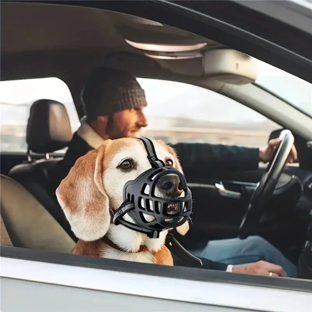 NexaGuard Breathable Dog Muzzle With Adjustable Straps For Safe Behavior