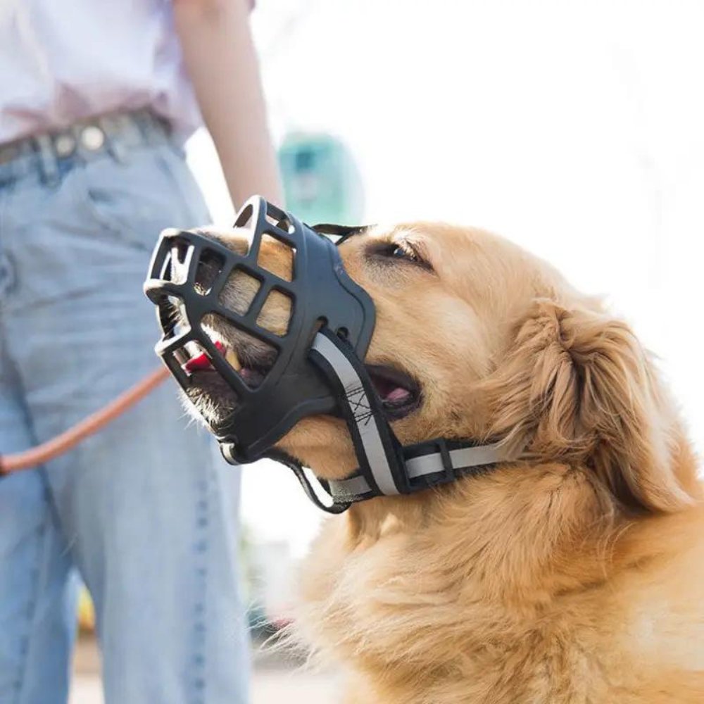 NexaGuard Breathable Dog Muzzle With Adjustable Straps For Safe Behavior