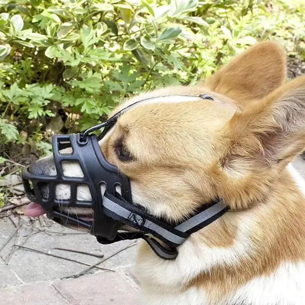 NexaGuard Breathable Dog Muzzle With Adjustable Straps For Safe Behavior