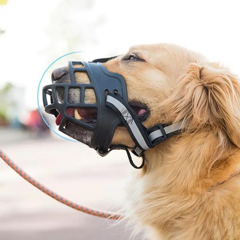 NexaGuard Breathable Dog Muzzle With Adjustable Straps For Safe Behavior