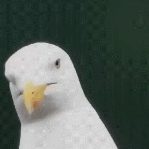 TrailPeak 600x Ultra Zoom monokulár s HD čočkou pro turistiku